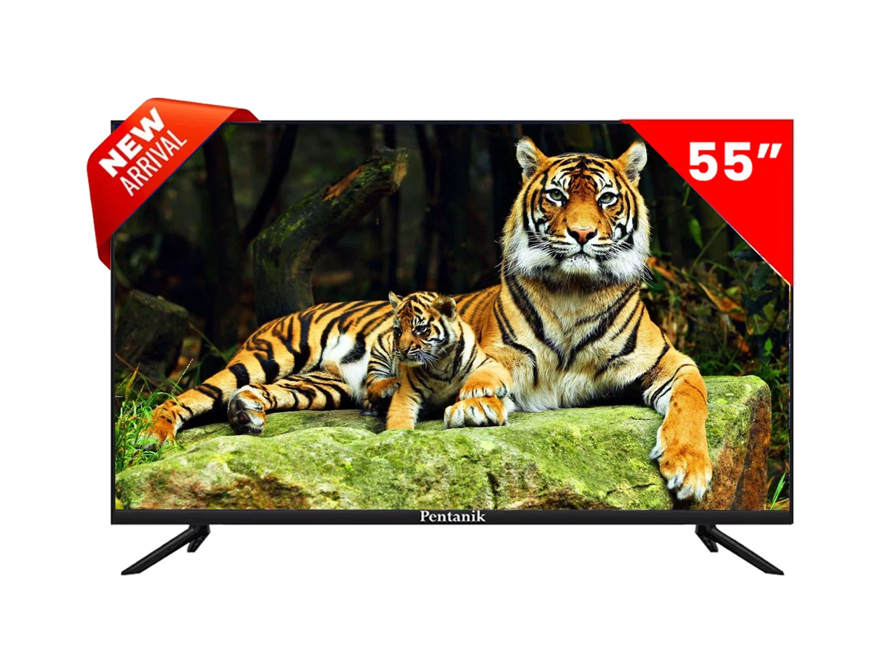 Pentanik 55 inch 4K Voice Control TV (Frameless)